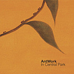 Antwork-In-Central-Park-150x150