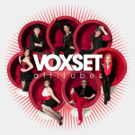 Voxset-Attitubes-150x150